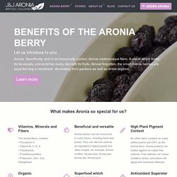 Facts About The Aronia Berry
