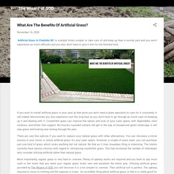 What Are The Benefits Of Artificial Grass?