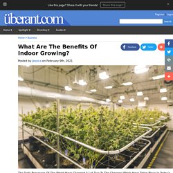 What Are The Benefits Of Indoor Growing?