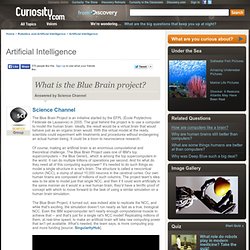 What is the Blue Brain project? - Curiosity