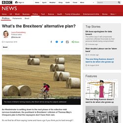 What's the Brexiteers' alternative plan?
