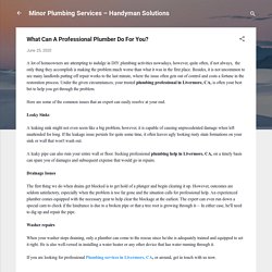 What Can A Professional Plumber Do For You?
