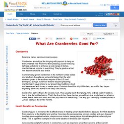 What are Cranberries Good For? - Mercola.com