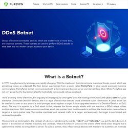 What is DDoS Botnet & How they work?