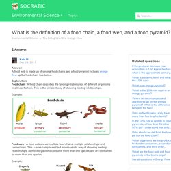 What is the definition of a food chain, a food web, and a food pyramid?
