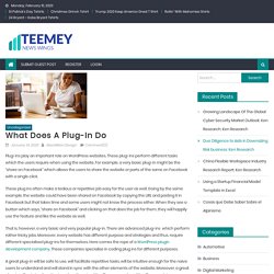 What Does A Plug-In Do