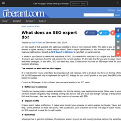 What does an SEO expert do?
