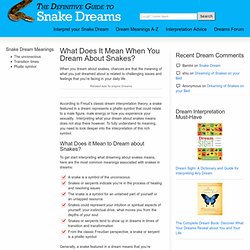 What Does It Mean When You Dream About Snakes?