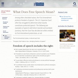 What Does Free Speech Mean?