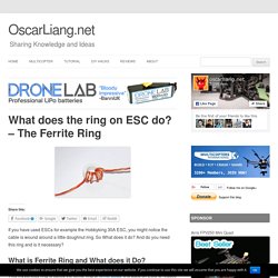 What does the ring on ESC do? - The Ferrite Ring