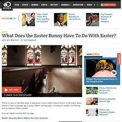 What Does the Easter Bunny Have To Do With Easter?