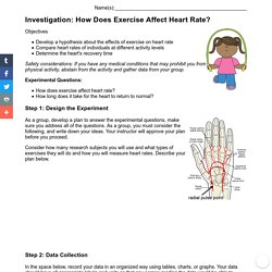 What is the Effect of Exercise on Heart Rate?