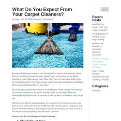 What Do You Expect From Your Carpet Cleaners?