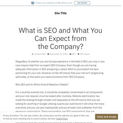 What is SEO and What You Can Expect from the Company?