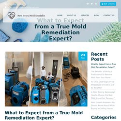 What to Expect from a True Mold Remediation Expert?
