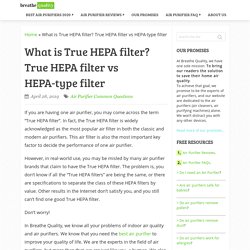 What Is True HEPA Filter? HEPA Filter In-depth Explanation