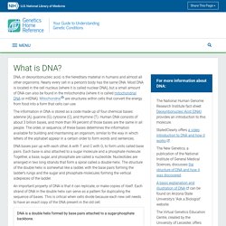 What is DNA? - Genetics Home Reference