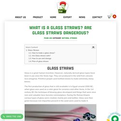 What Is A Glass Straws? Are Glass Straws Dangerous?