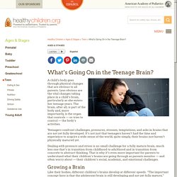 What’s Going On in the Teenage Brain?