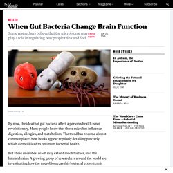 What Gut Bacteria Do to the Human Brain