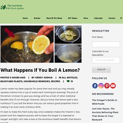 What Happens If You Boil A Lemon? - The Lost Herbs