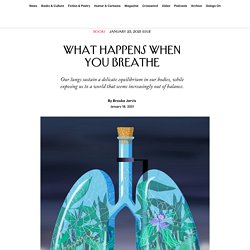 What Happens When You Breathe