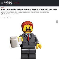 What Happens To Your Body When You're Stressed