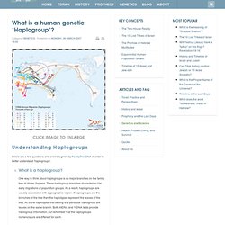 What is a human genetic "Haplogroup"?