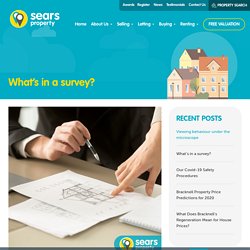 What’s in a survey?