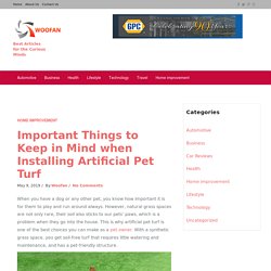 What to Keep in Mind when Installing Artificial Pet Turf