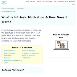 What is Intrinsic Motivation & How Does it Work?