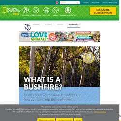 What is a bushfire?