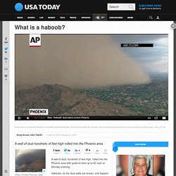 What is a haboob?