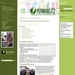 The Lowdown and Dirty on Permablitzing