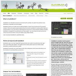 What is AudioMulch?