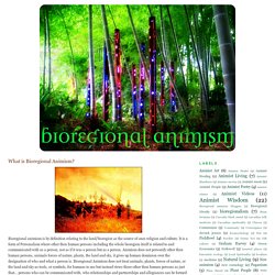 What is Bioregional Animism?