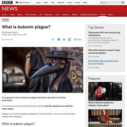 What is bubonic plague?