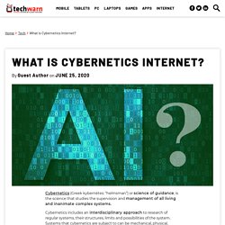 What is Cybernetics Internet?