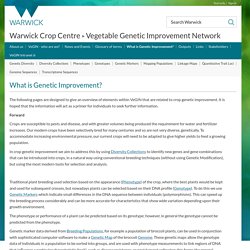 What is Genetic Improvement