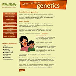 What is genetics about?