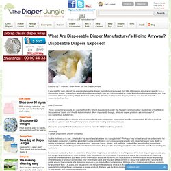 What Are Disposable Diaper Manufacturer's Hiding Anyway?