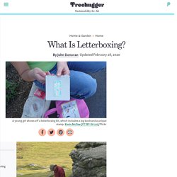 What Is Letterboxing?