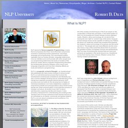 What Is NLP?