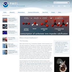 What is Ocean Acidification?