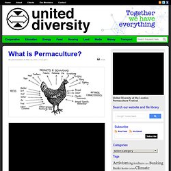 What is Permaculture?