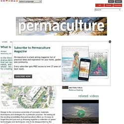 what is permaculture: design