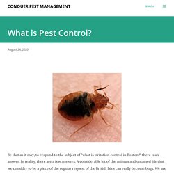 Professionals Can Take Care of Your Bed Bug Problem Quickly