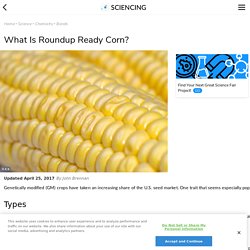 ARTICLE #1 What Is Roundup Ready Corn?