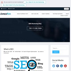 What is SEO