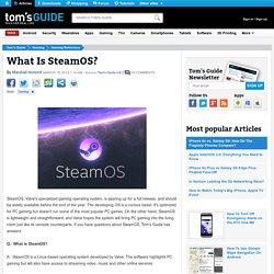 What is SteamOS? - Steam Games